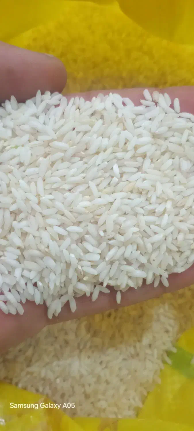 برنج عنبربو|خوردنی و آشامیدنی|دزفول, |دیوار