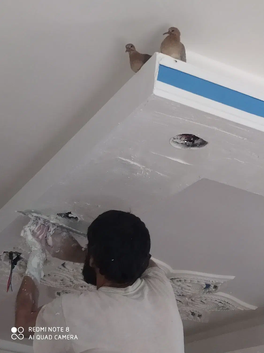 گچکاری لکه گیری|خدمات پیشه و مهارت|یاسوج, |دیوار