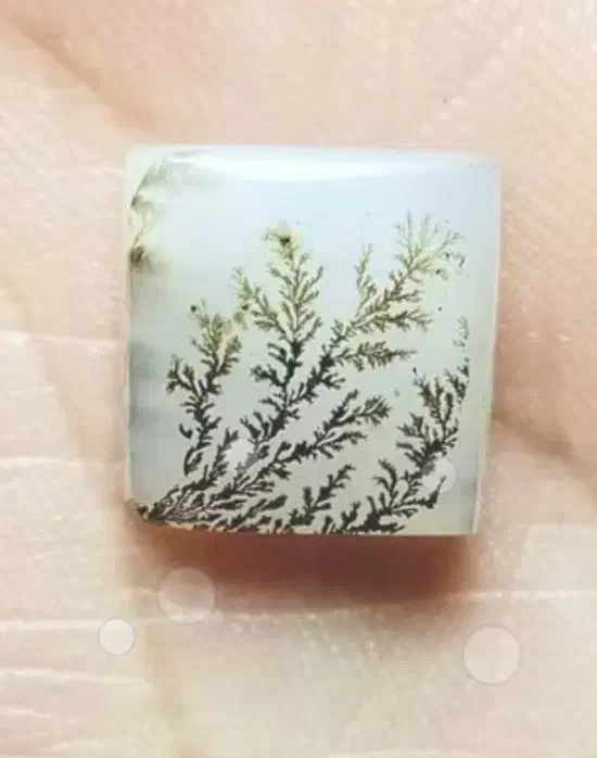 شجر|جواهرات|کهریزک, |دیوار