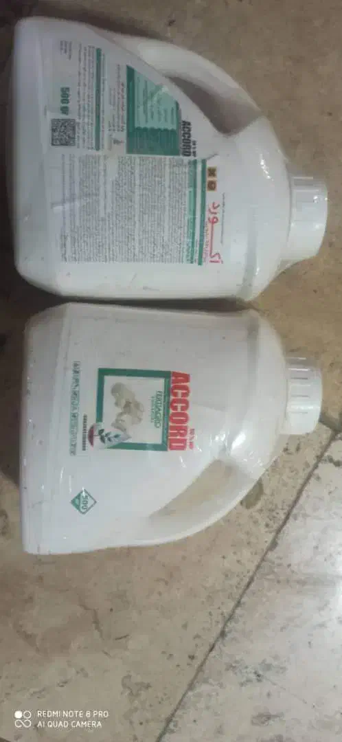 سم آکورد سالن قارچ|خدمات باغبانی و درختکاری|تبریز, |دیوار