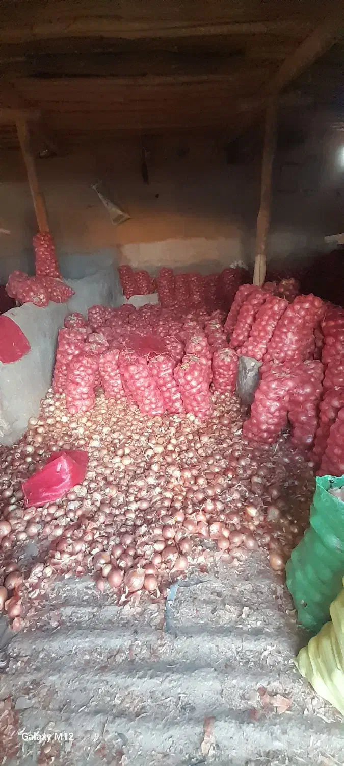 پیاز فلات|خوردنی و آشامیدنی|شیروان (خراسان), |دیوار