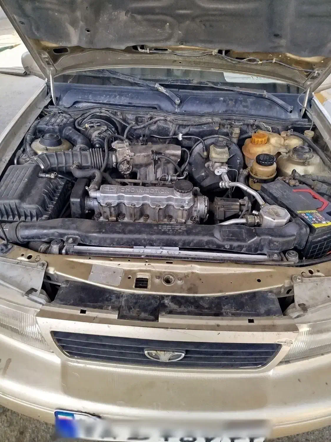 دوو|خودرو سواری و وانت|زاهدان, |دیوار