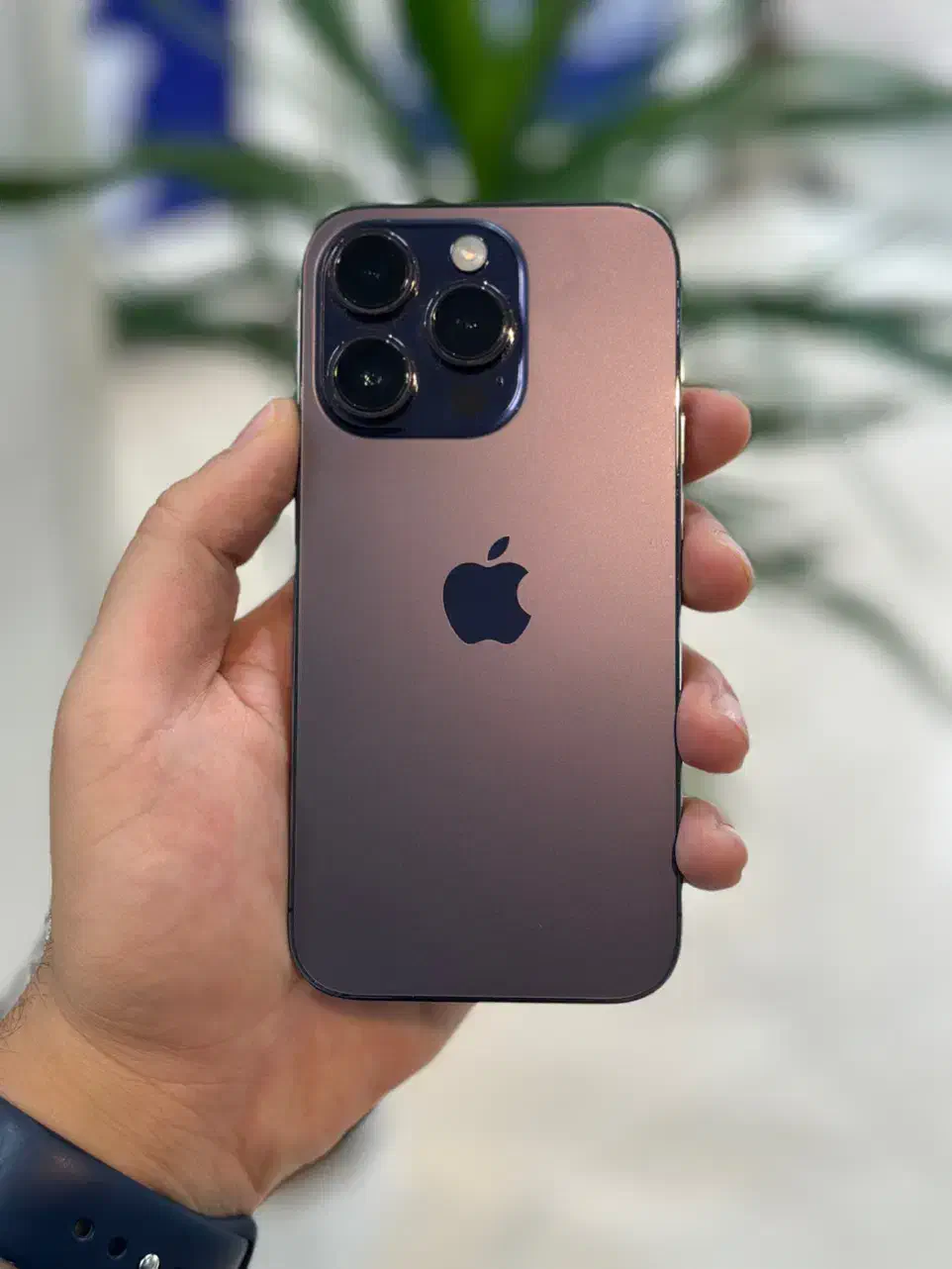 14 Pro|موبایل|نظرآباد, نظرآباد|دیوار