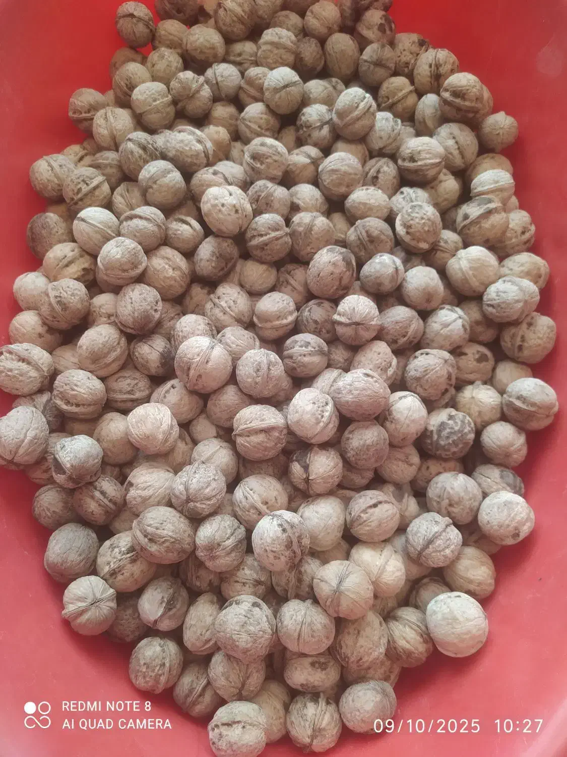 گردو توسرکان|خوردنی و آشامیدنی|تهران, جنت‌آباد مرکزی|دیوار