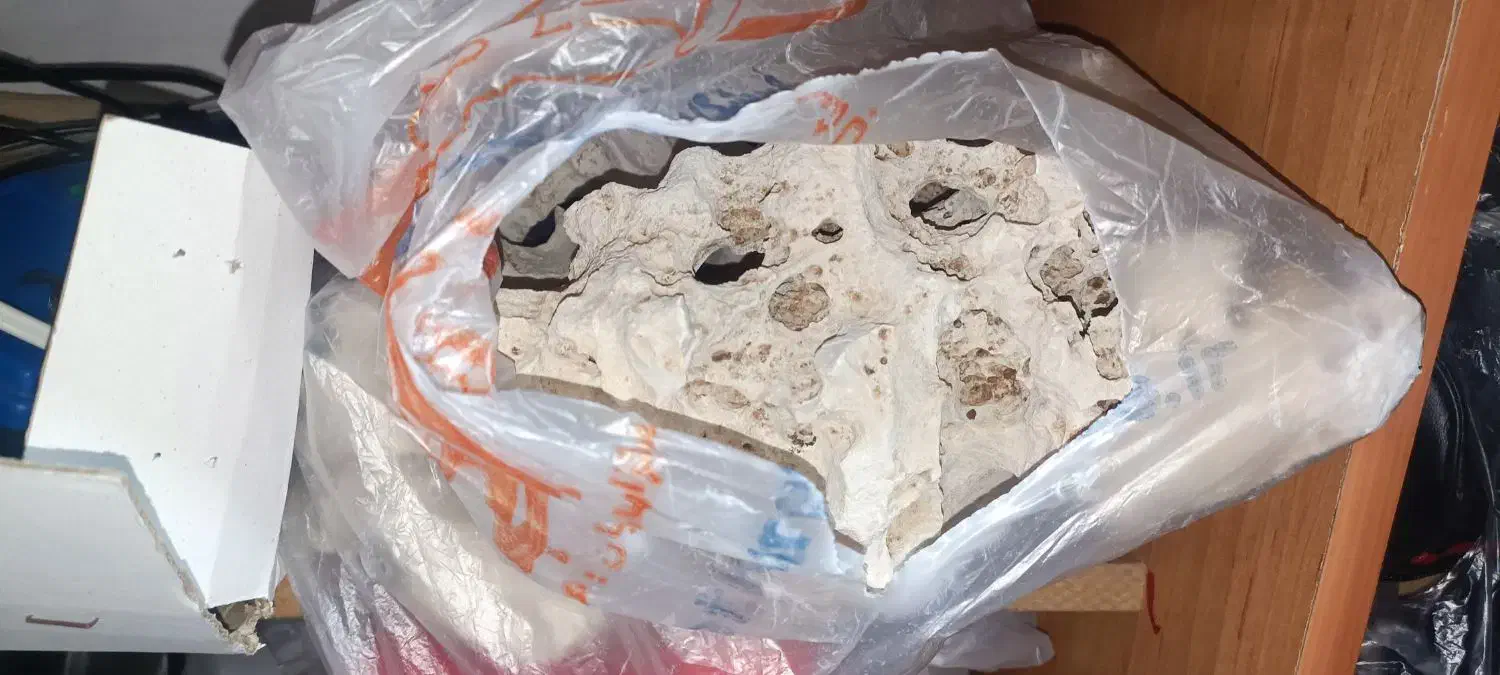 وسایل اکواریوم|ماهی|اهواز, سپیدار|دیوار