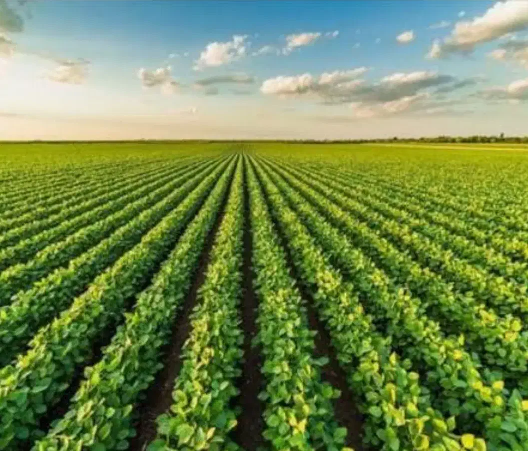 اجاره زمین کشاورزی|اجارهٔ دفتر صنعتی، کشاورزی، تجاری|کبودرآهنگ, |دیوار