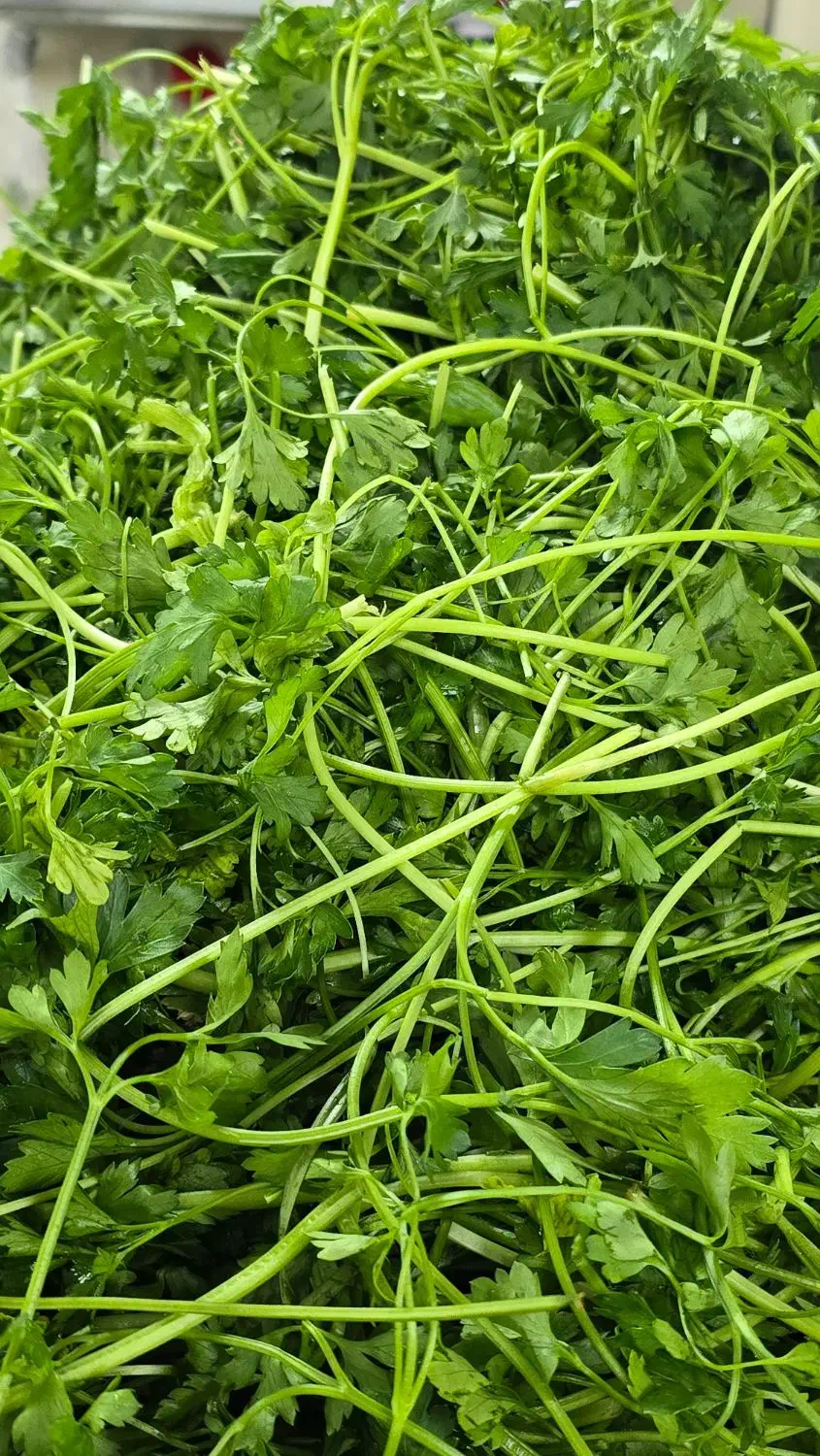 پخش و فروش سبزیجات آماده (عمده و خرده)|خوردنی و آشامیدنی|کرج, عظیمیه|دیوار