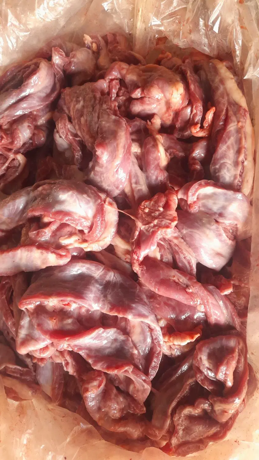 گوشت|خوردنی و آشامیدنی|اسلامشهر, شهرک مهدیه|دیوار