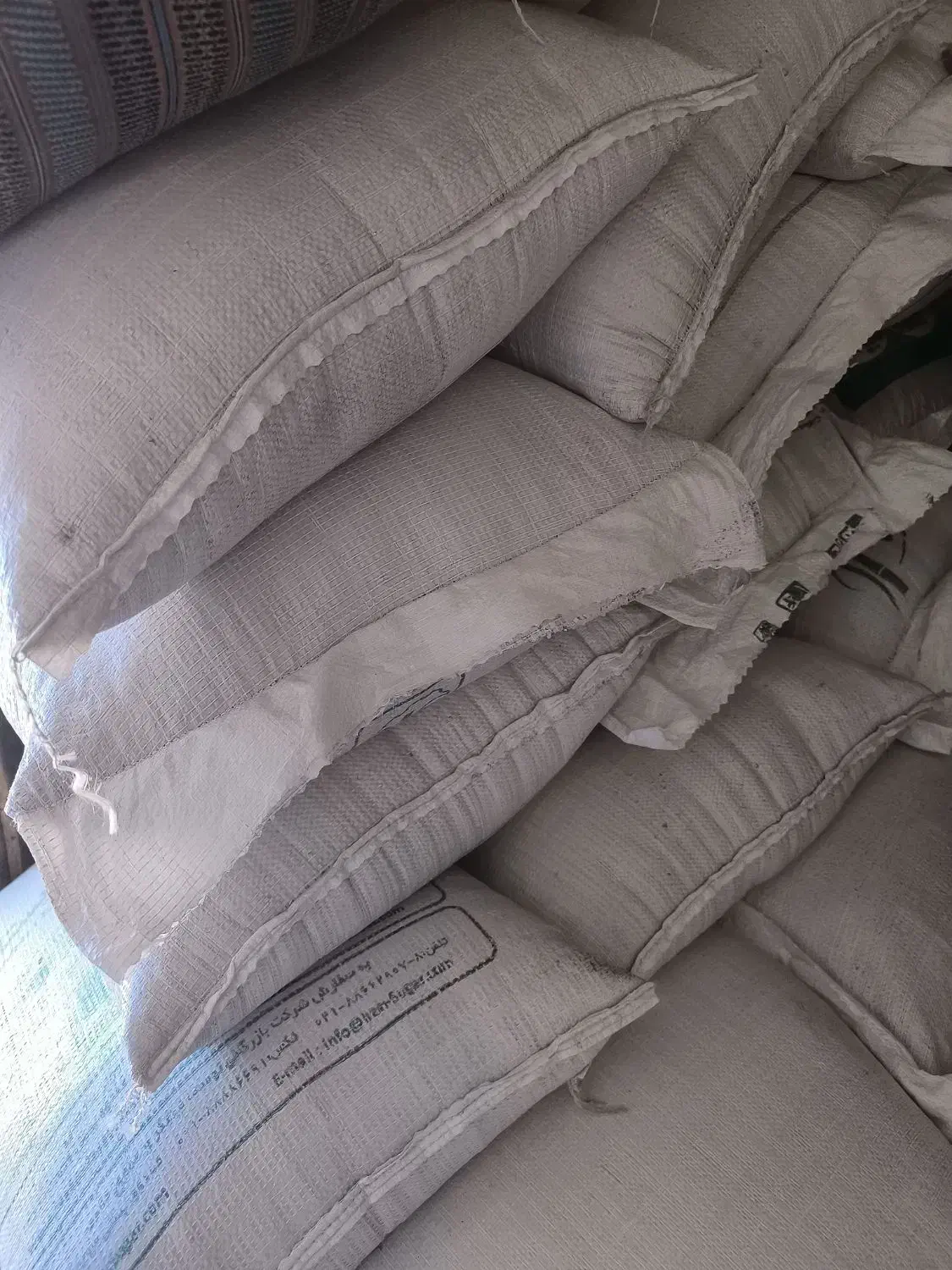 بزر یونجه امریکایی|گل و گیاه طبیعی|شراء, |دیوار