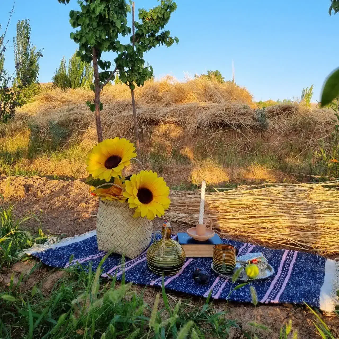 زمین مسکونی و باغ فروشی در شهر زیبای برزک|فروش زمین و ملک کلنگی|برزک, |دیوار