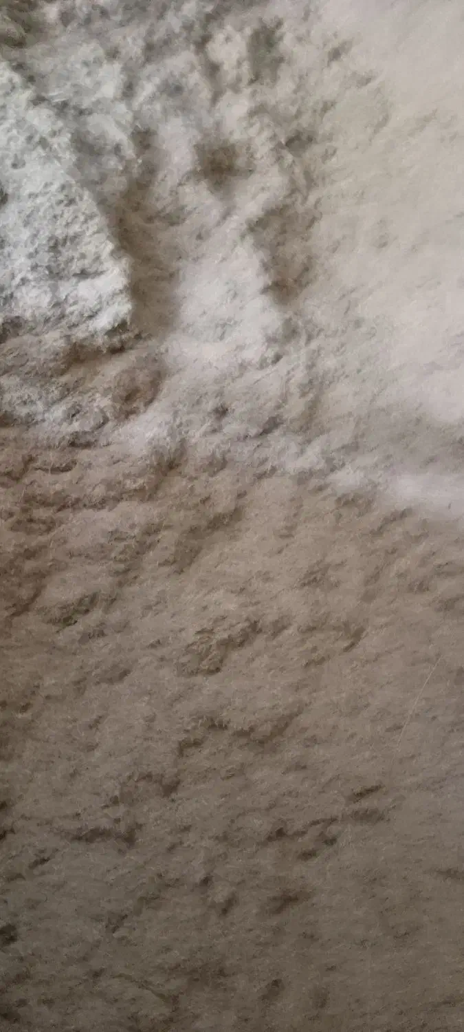 کاه، سمان|لوازم جانبی حیوانات|بجنورد, |دیوار