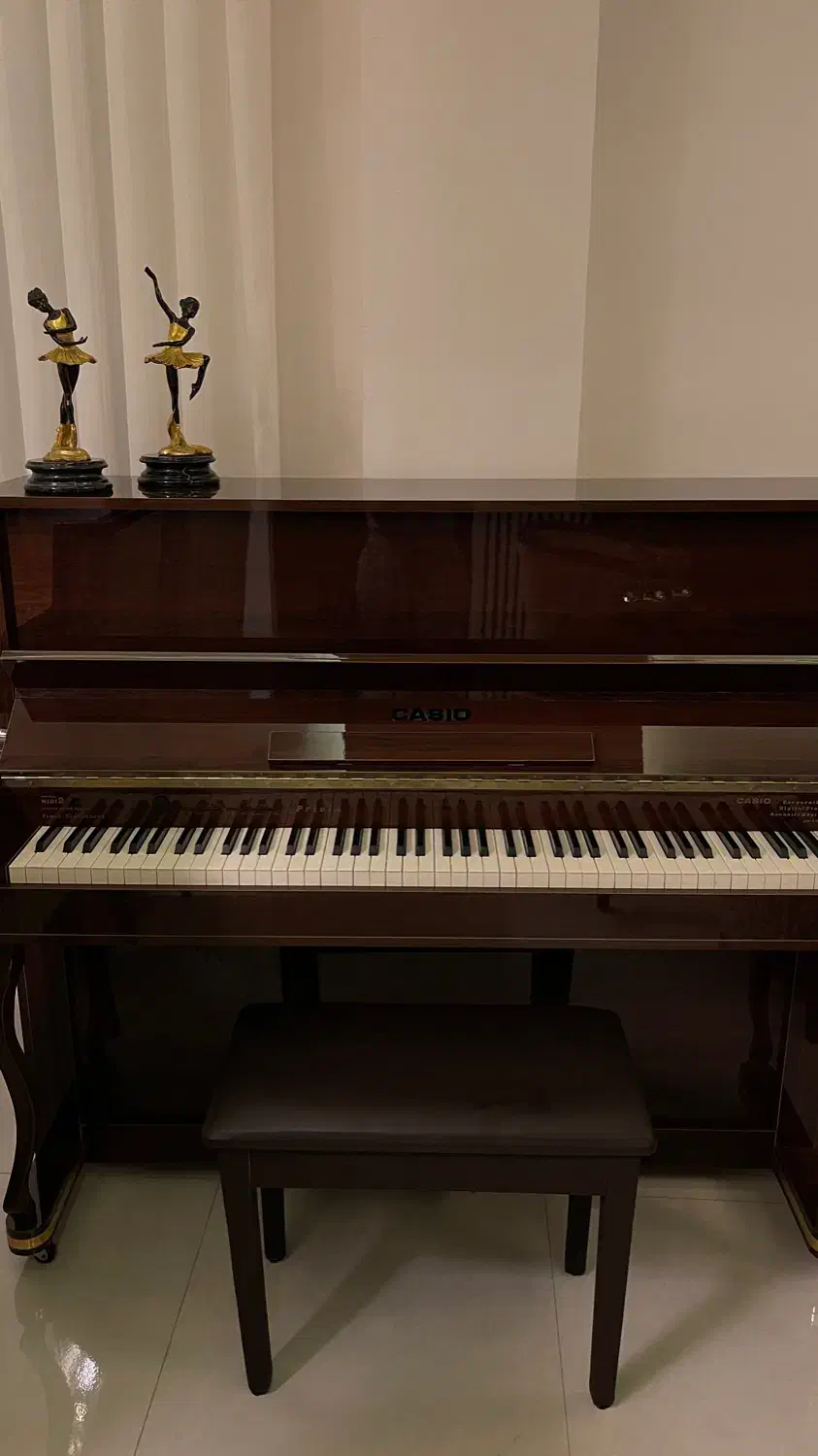 پیانو دیجیتال کاسیو طرح آکوستیک|پیانو، کیبورد، آکاردئون|رشت, دیلمان|دیوار