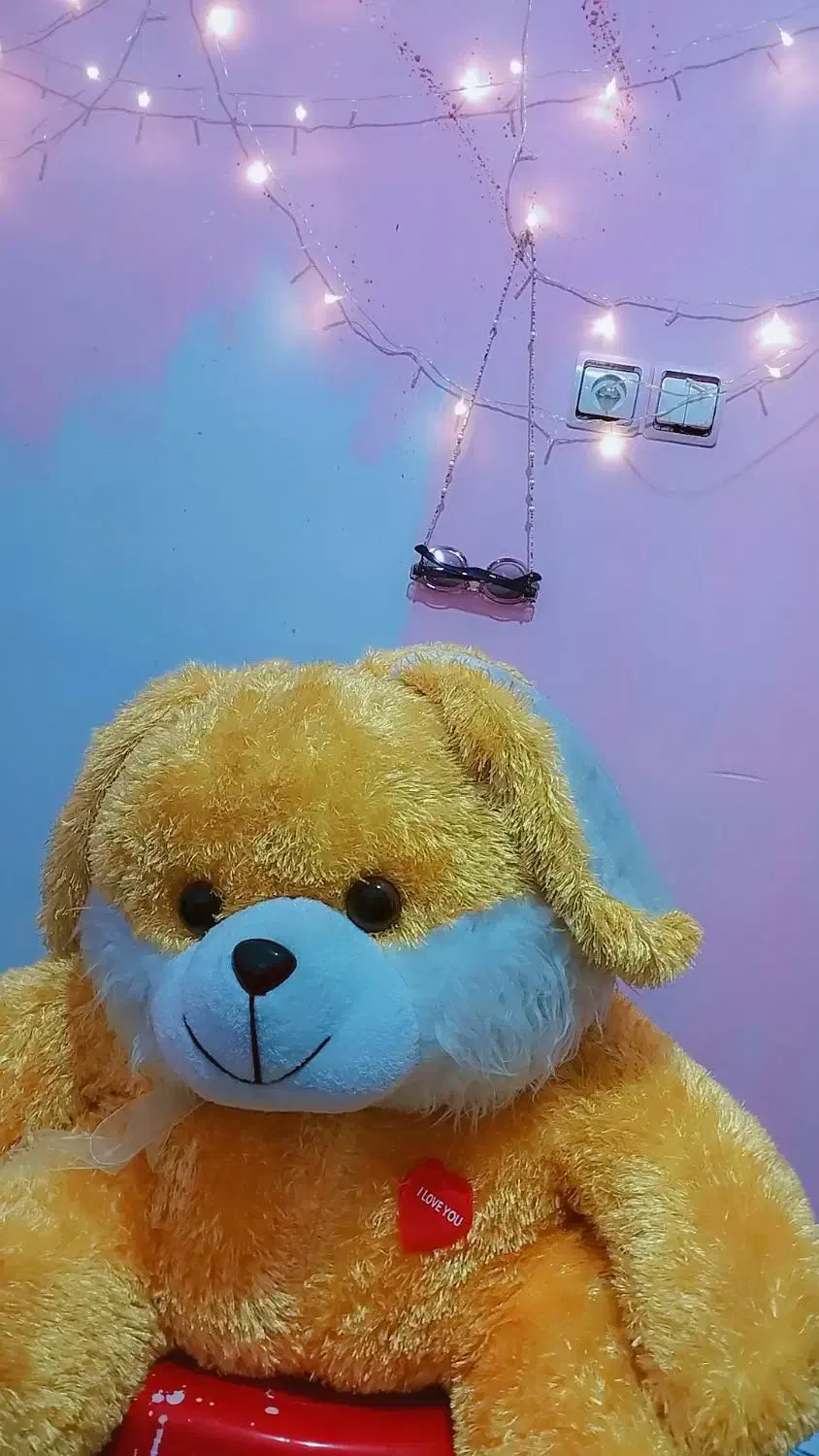 عروسک خرگوش بزرگ|اسباببازی بچه|لنگرود, |دیوار