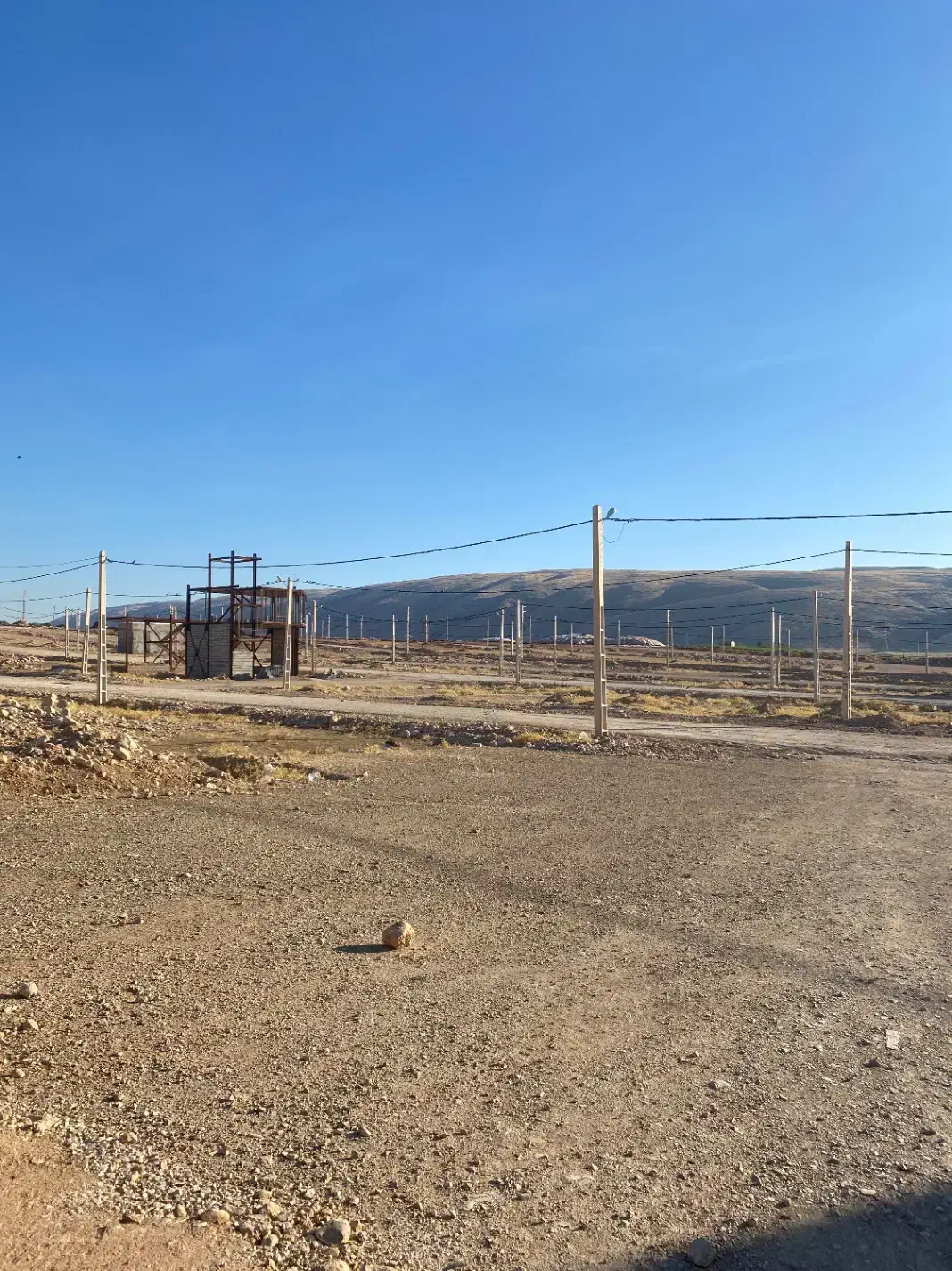 زمین فاز دوخیابان. دویست وسه|فروش زمین و ملک کلنگی|سرپل ذهاب, |دیوار