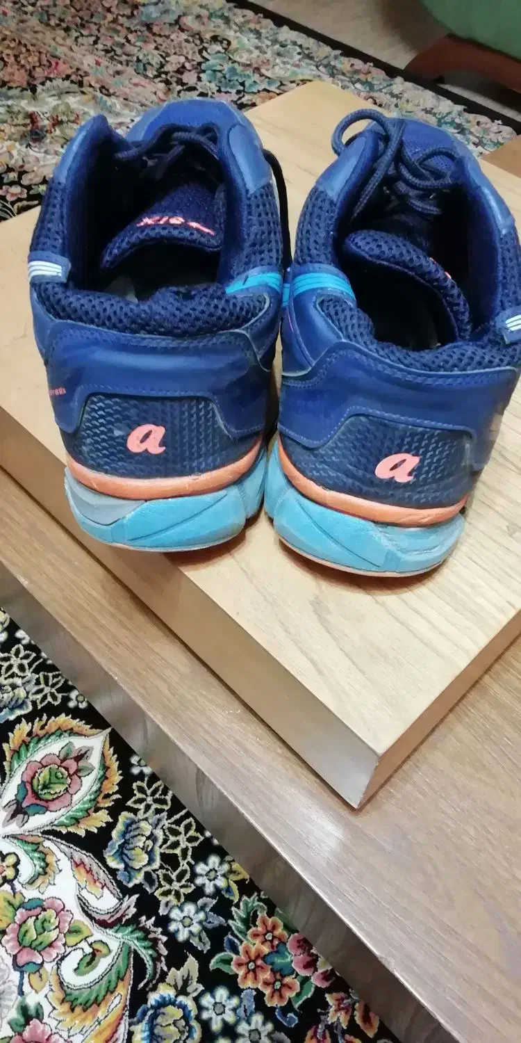 کتلنی والیبال|تجهیزات ورزشی|رشت, دیانتی|دیوار