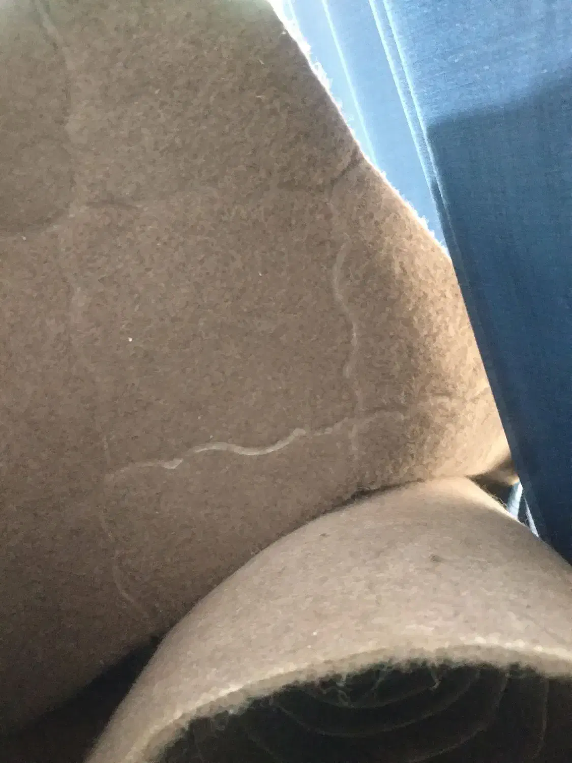 گلیم فرش وموکت|فرش|فاضل آباد, |دیوار