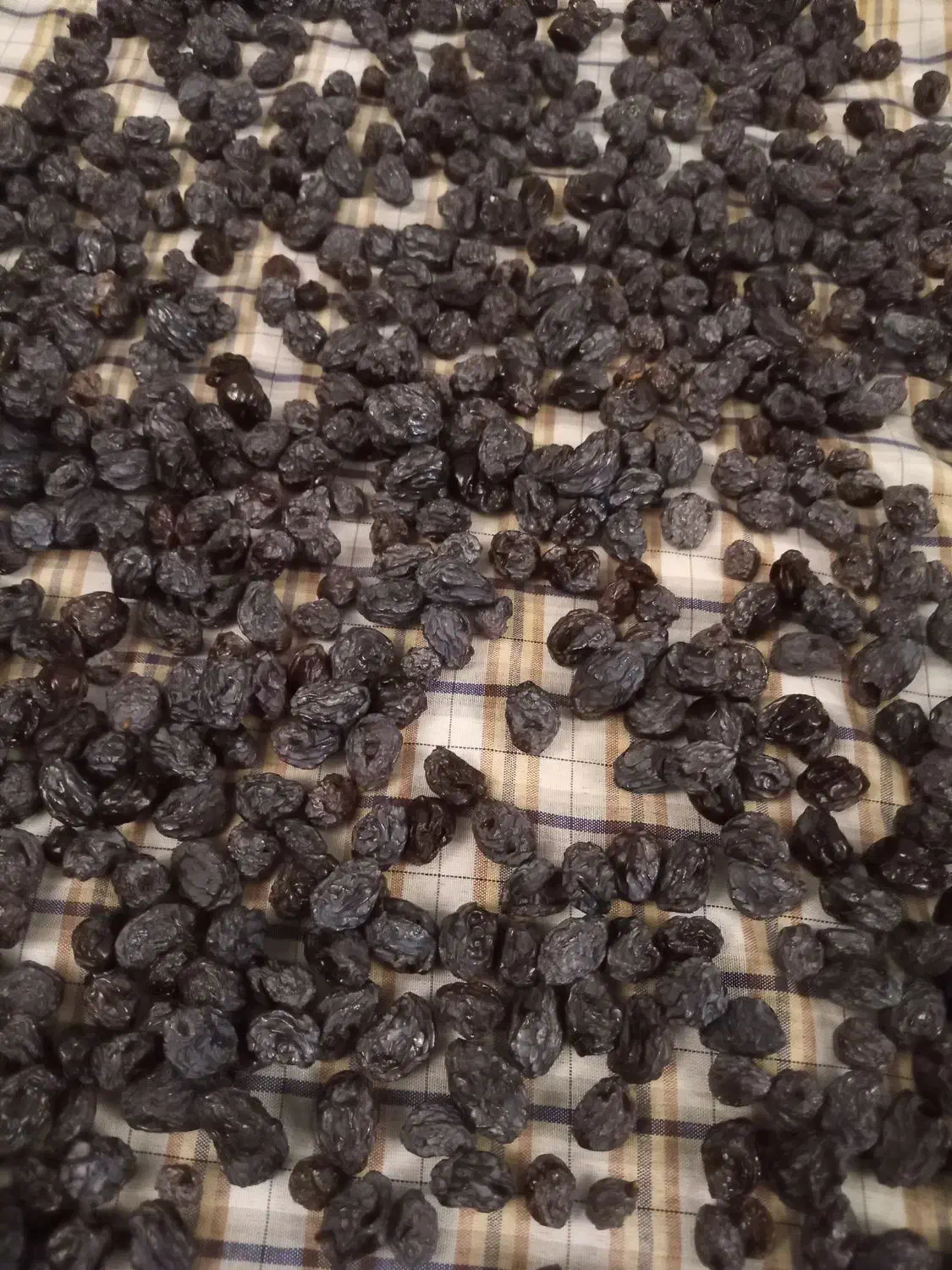 مویز لعل درجه یک ،مخصوص شب یلدا|خوردنی و آشامیدنی|شاهرود, |دیوار