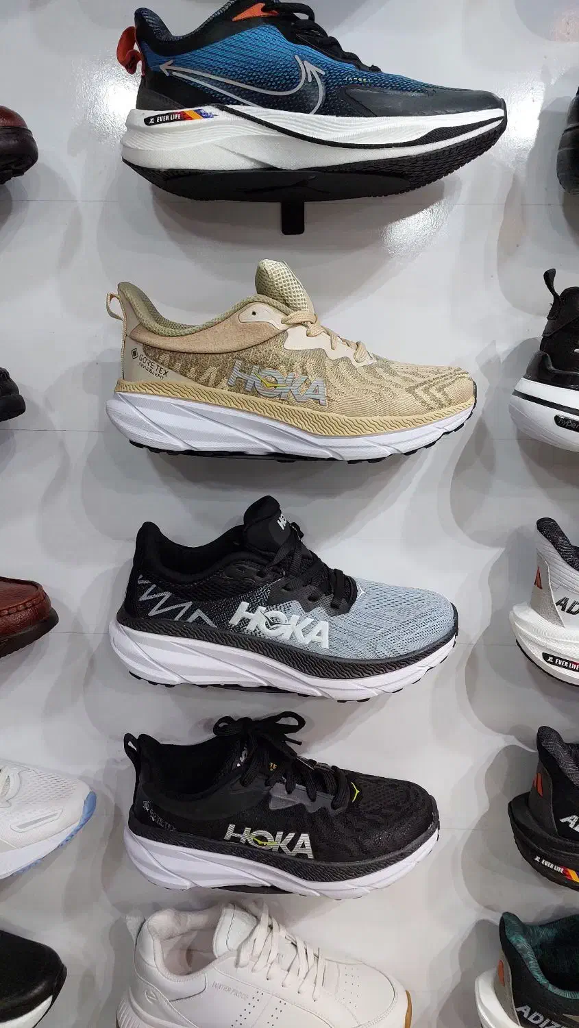 کفش اسپورت زنانه مردانه صدرا|کیف، کفش، کمربند|صدرا-فارس, فاز ۱|دیوار