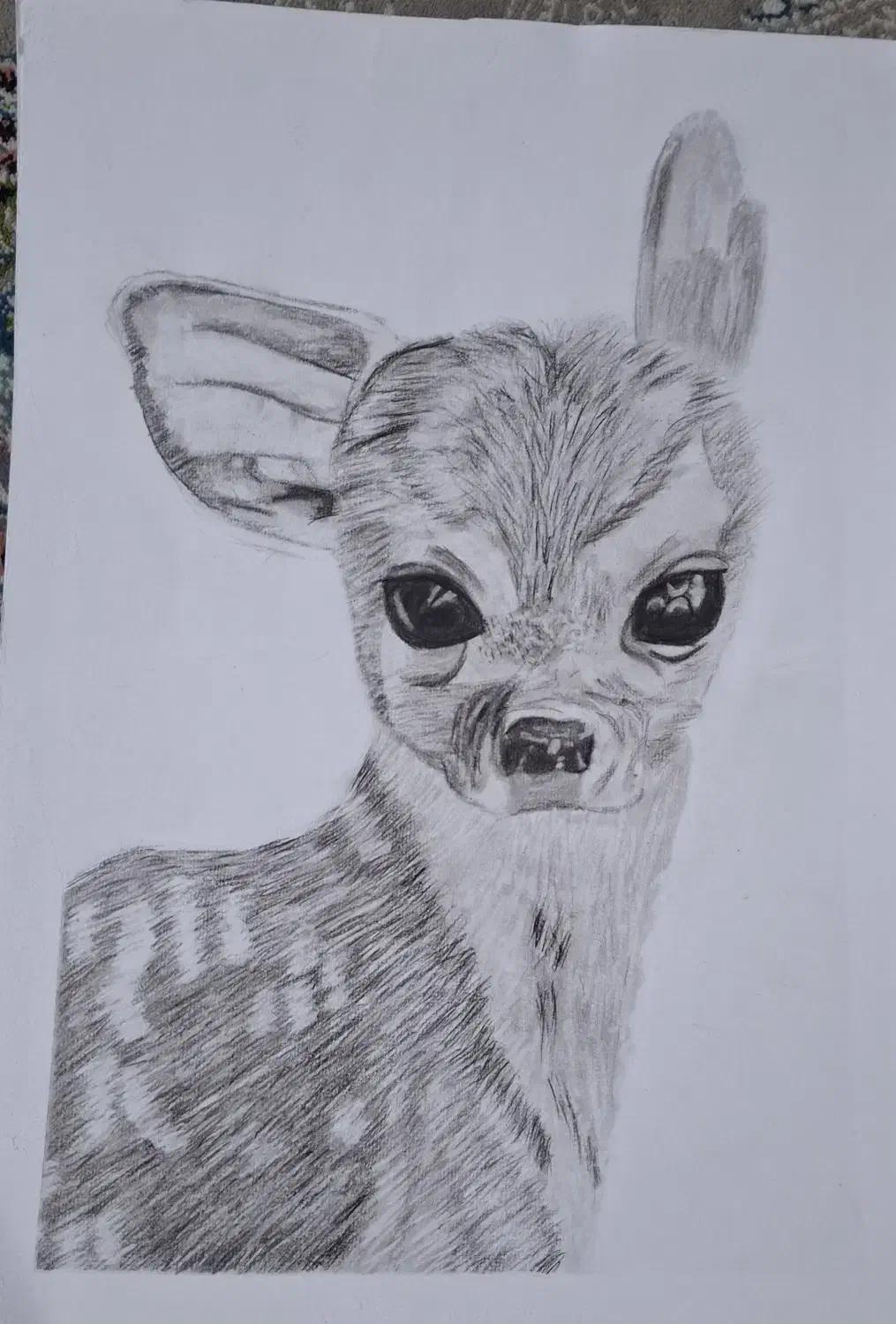 نقاشی سیاه قلم منظره با تکنیک کنته و ذغال|تابلو، نقاشی، عکس|مشهد, ایثارگران|دیوار