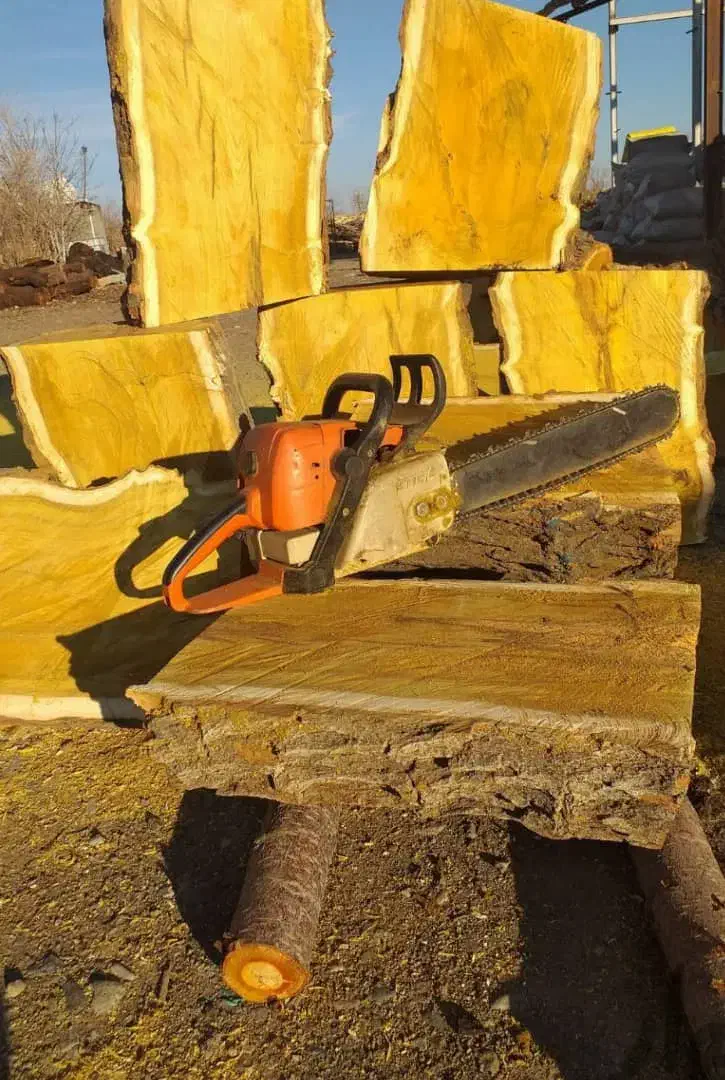 خریدار انواع چوب|خدمات باغبانی و درختکاری|اقبالیه, |دیوار