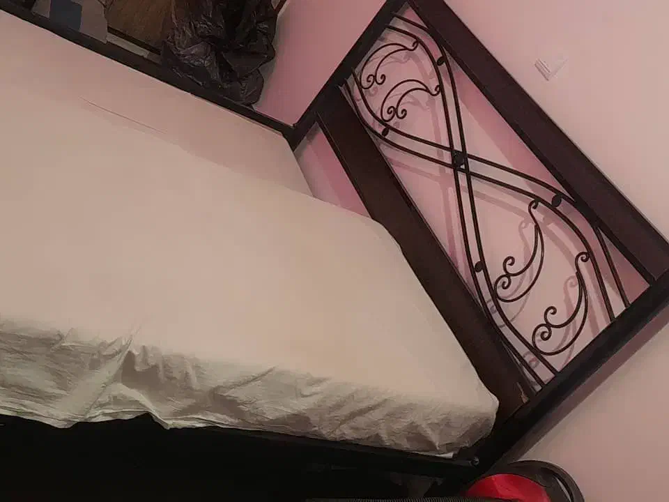 تخت دونفره و آیینه فرفورژه|تخت و سرویس خواب|مهاجران, |دیوار