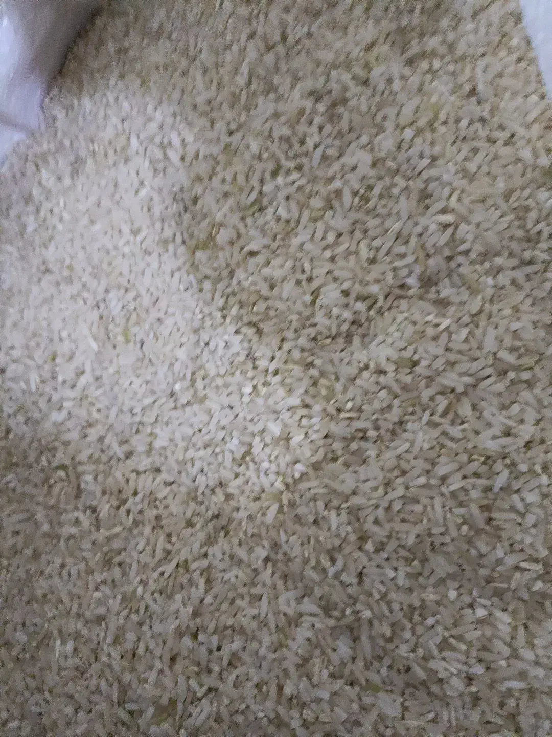 برنج نمیدانه|خوردنی و آشامیدنی|میانه, |دیوار