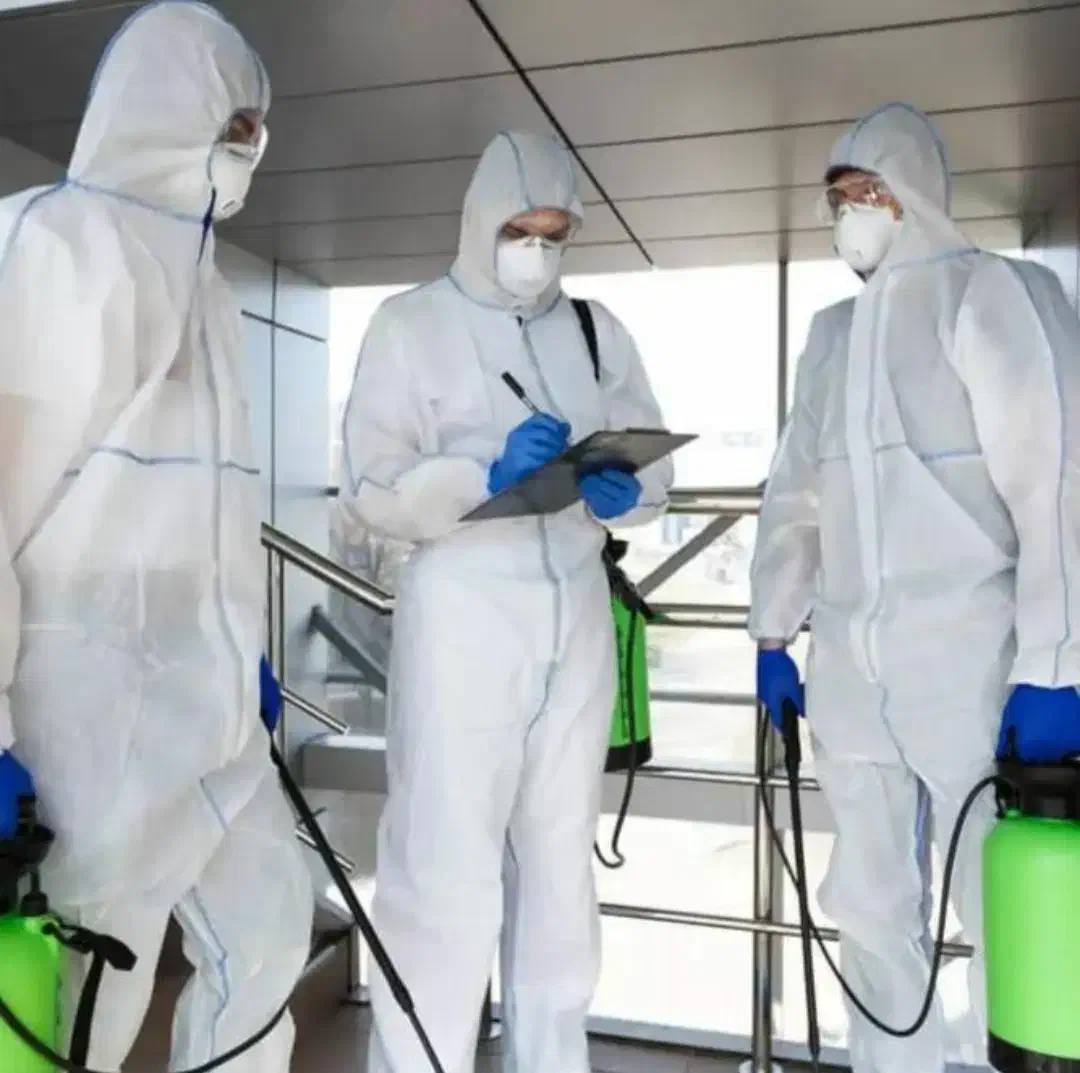 سمپاشی حشرات خانگی دفع سوسک ساس موریانه سم پاشی|خدمات نظافت|اهواز, کیانشهر|دیوار