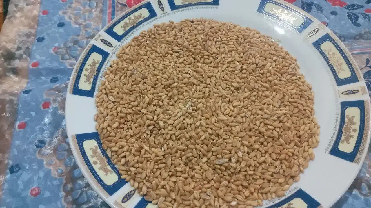 گندم|خدمات باغبانی و درختکاری|انگوت, |دیوار