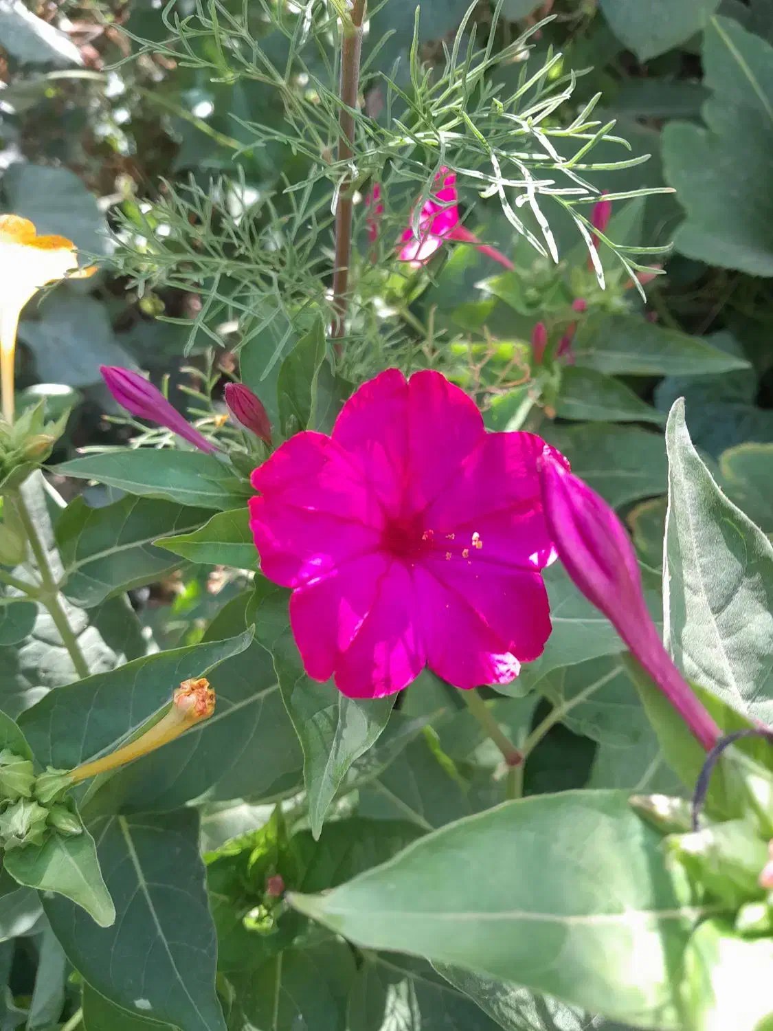 نظافت منزل|استخدام سرایداری و نظافت|قدس, شهرقدس|دیوار