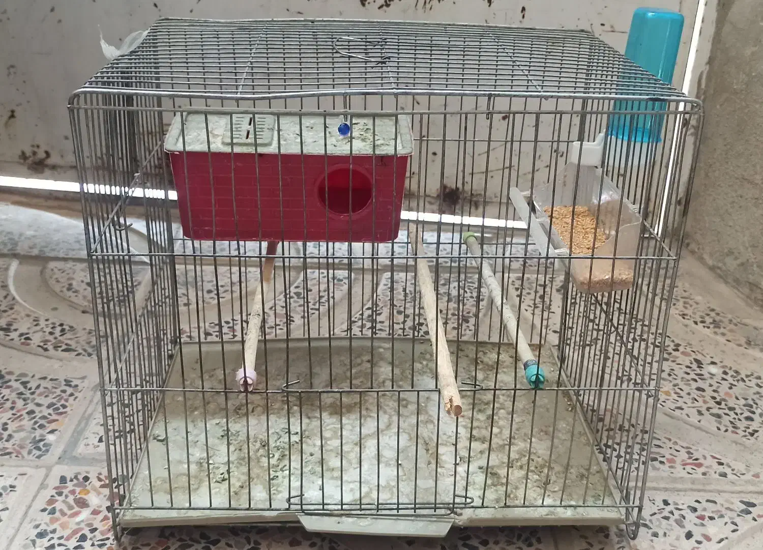 قفس پرنده و ملزومات|لوازم جانبی حیوانات|کرمانشاه, |دیوار