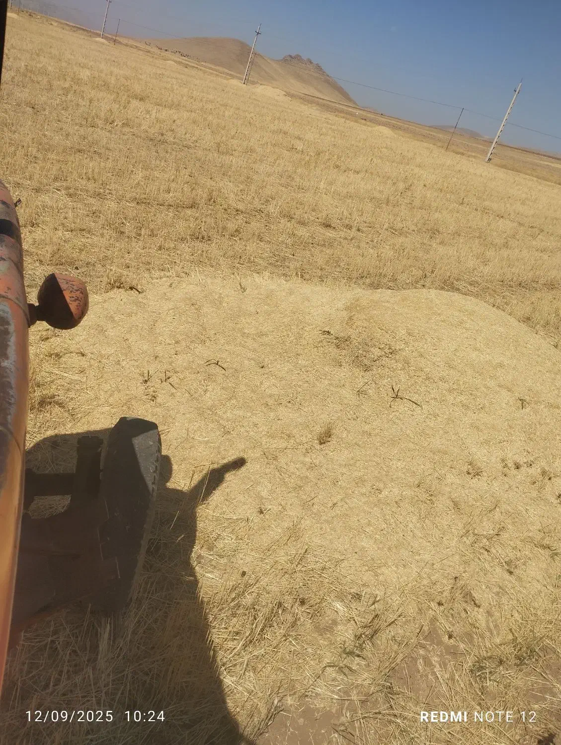 کاه|لوازم جانبی حیوانات|موچش, |دیوار