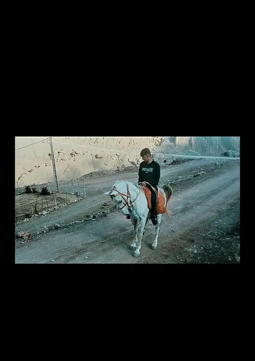 اسب کرد|اسب و تجهیزات اسب‌سواری|پاپی, |دیوار