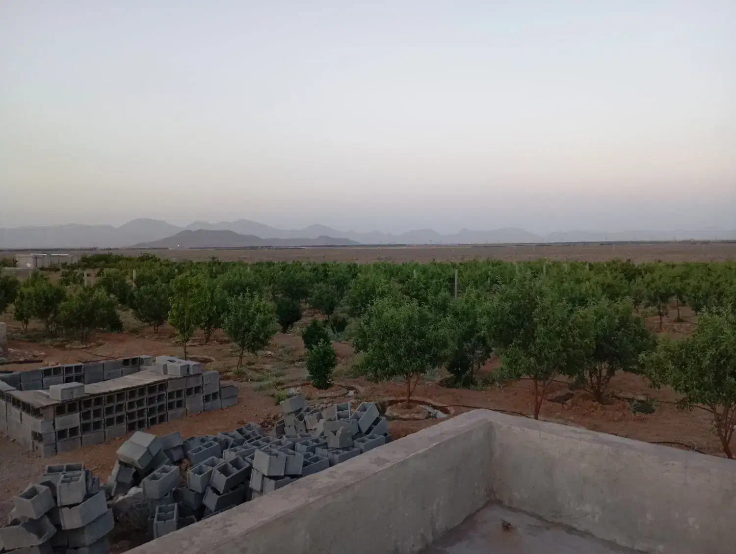 باغ|فروش زمین و ملک کلنگی|مبارکه, |دیوار