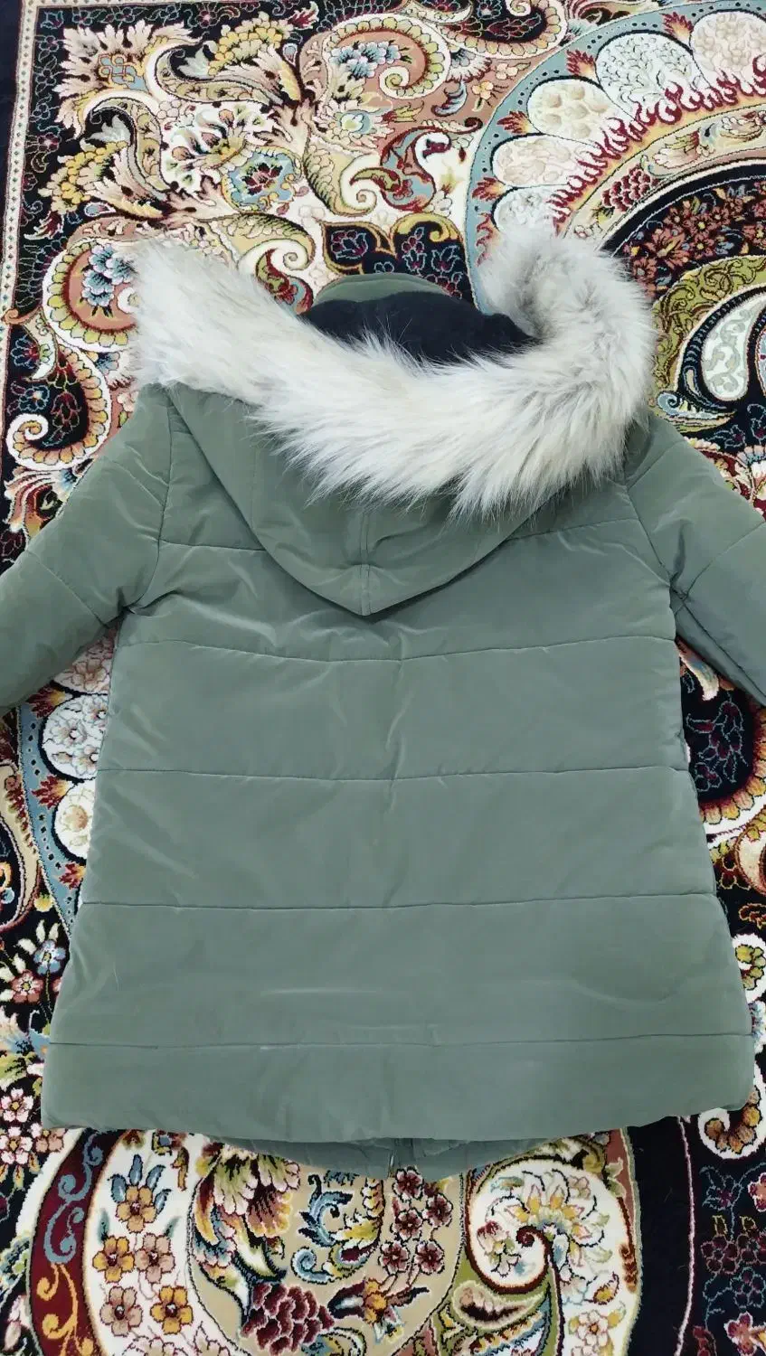 کاپشن|لباس|نیشابور, مبارکه|دیوار