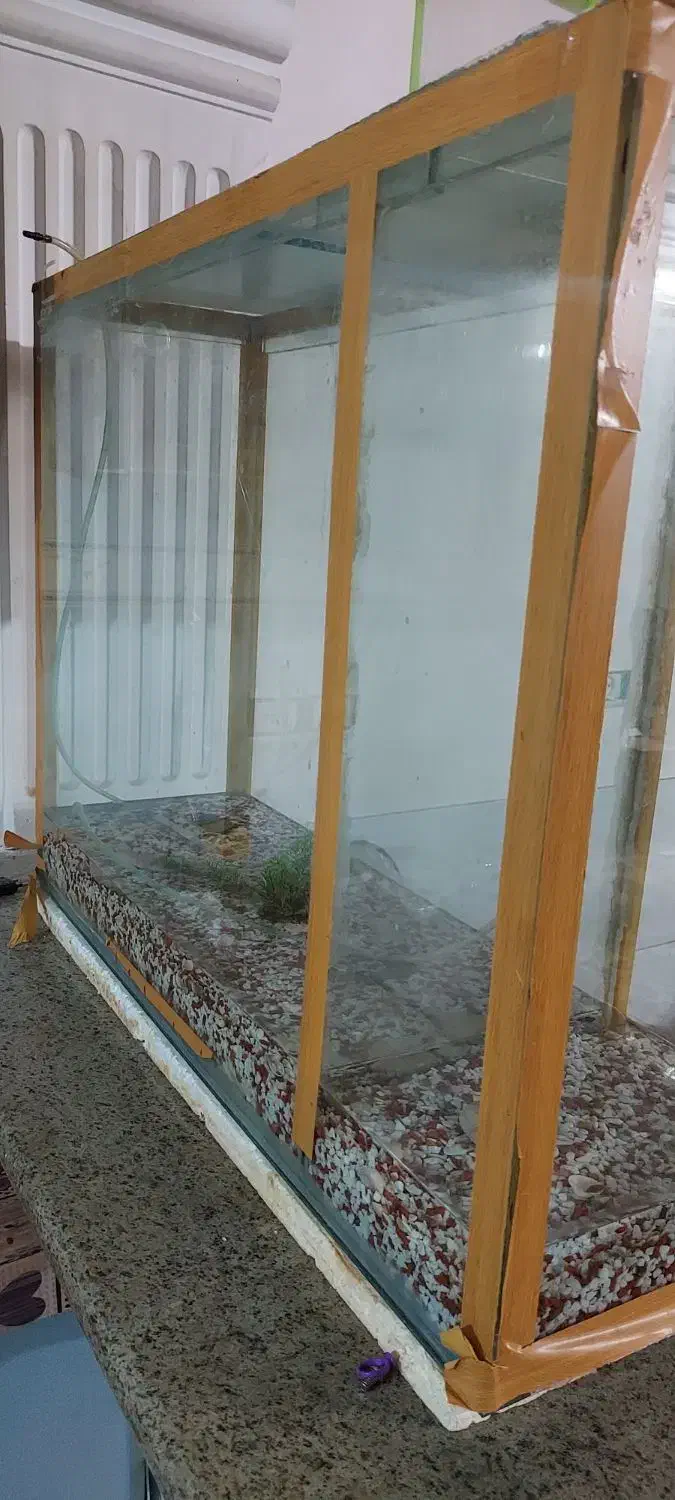 آکواریوم|ماهی|شاهرود, |دیوار