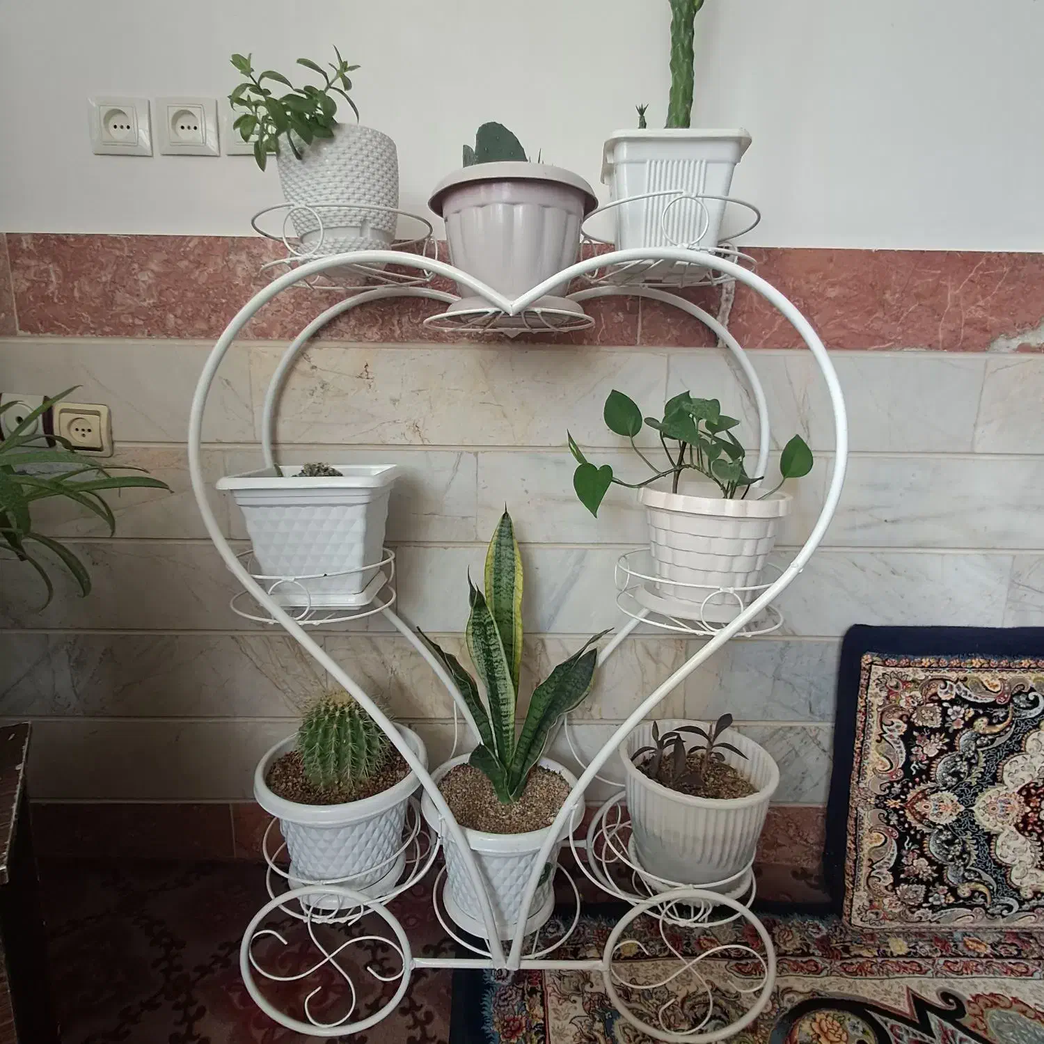 استند گل به همراه گل ها|گل و گیاه طبیعی|آبیک, |دیوار