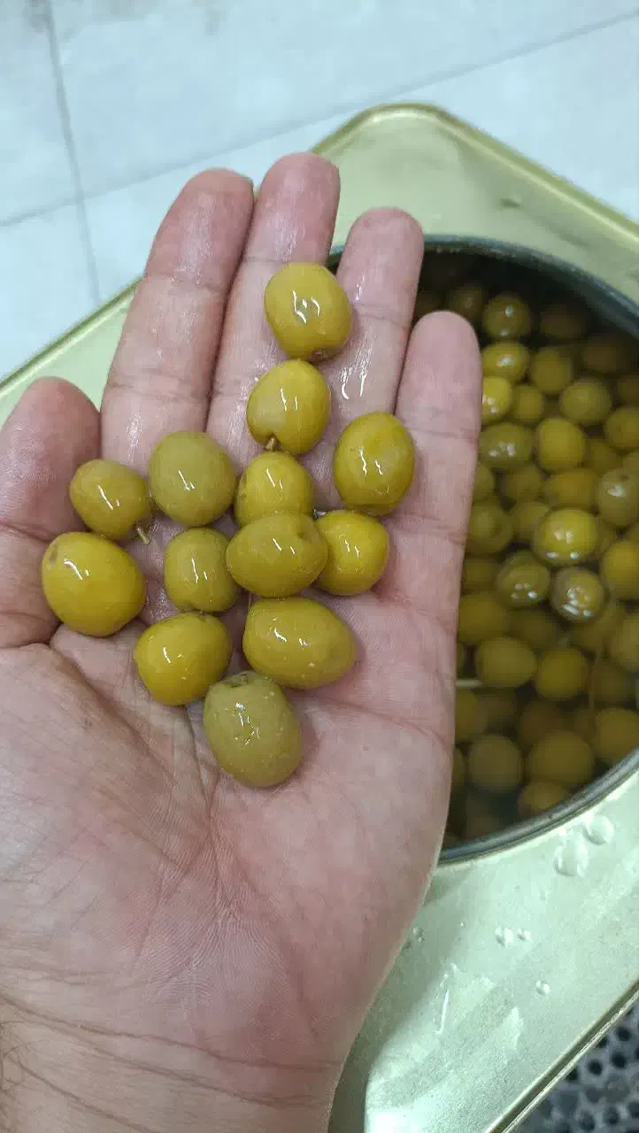 زیتون کیلویی با قیمت عمده|خوردنی و آشامیدنی|شیراز, سیاه سنگ|دیوار