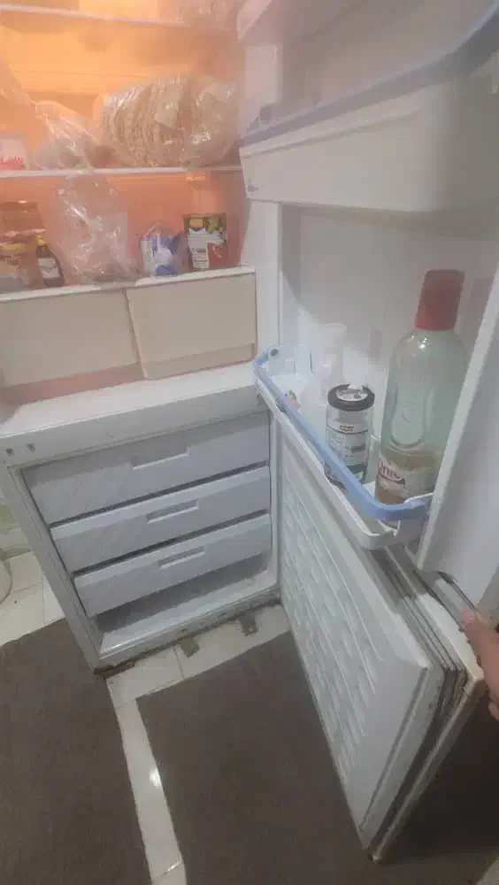 فروشی یخچال|یخچال و فریزر|رشت, دخانیات|دیوار