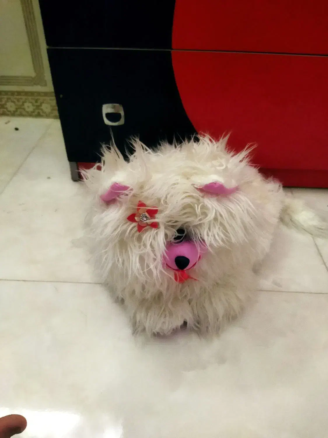 اسباب بازی|اسباببازی|مشهد, شهید قربانی|دیوار