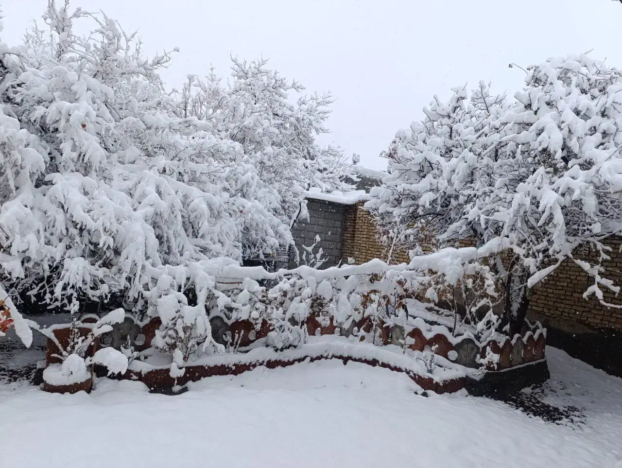 آموزش رانندگی|خدمات آموزشی|شهرکرد, |دیوار