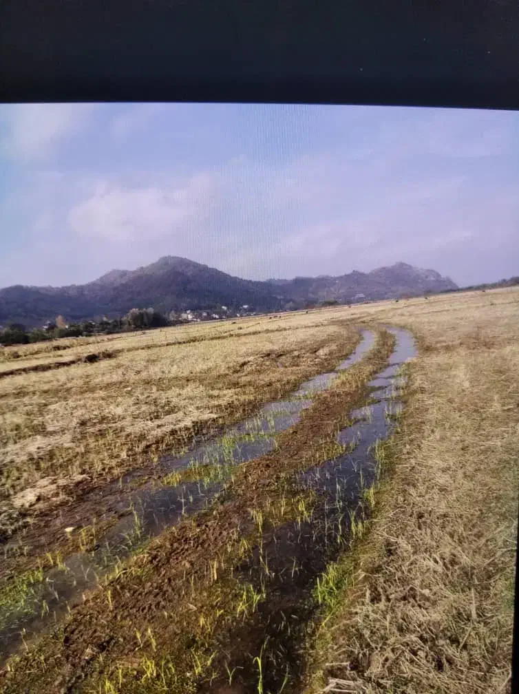 زمین شالیزار نسخ می‌باشد اقدام به سند می‌باشد|فروش زمین و ملک کلنگی|لوندویل, |دیوار