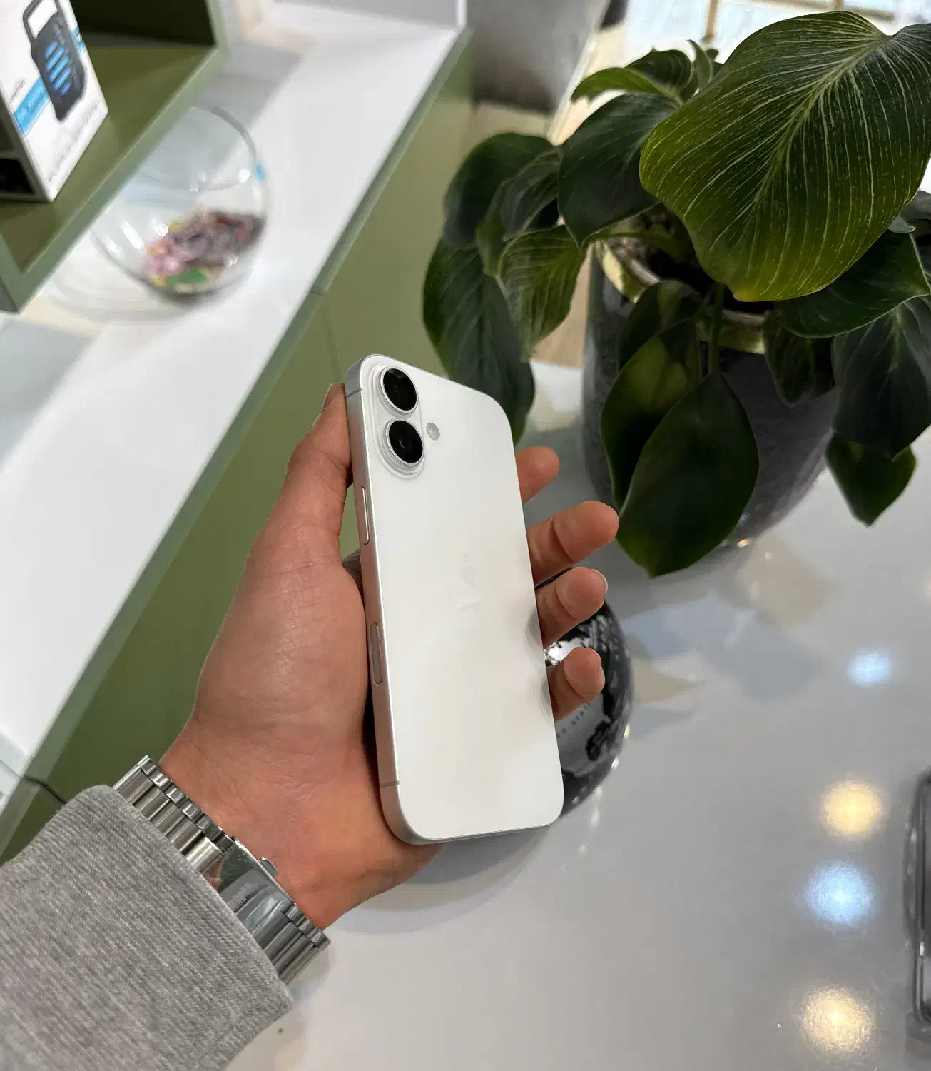 آیفون ۱۶ نرمال|موبایل|رشت, دیلمان|دیوار