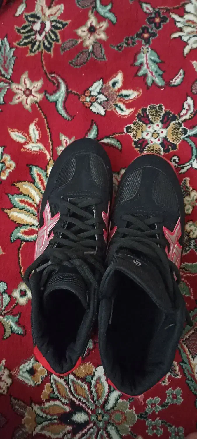 کفش کشتی|کیف، کفش، کمربند|بیجار, |دیوار