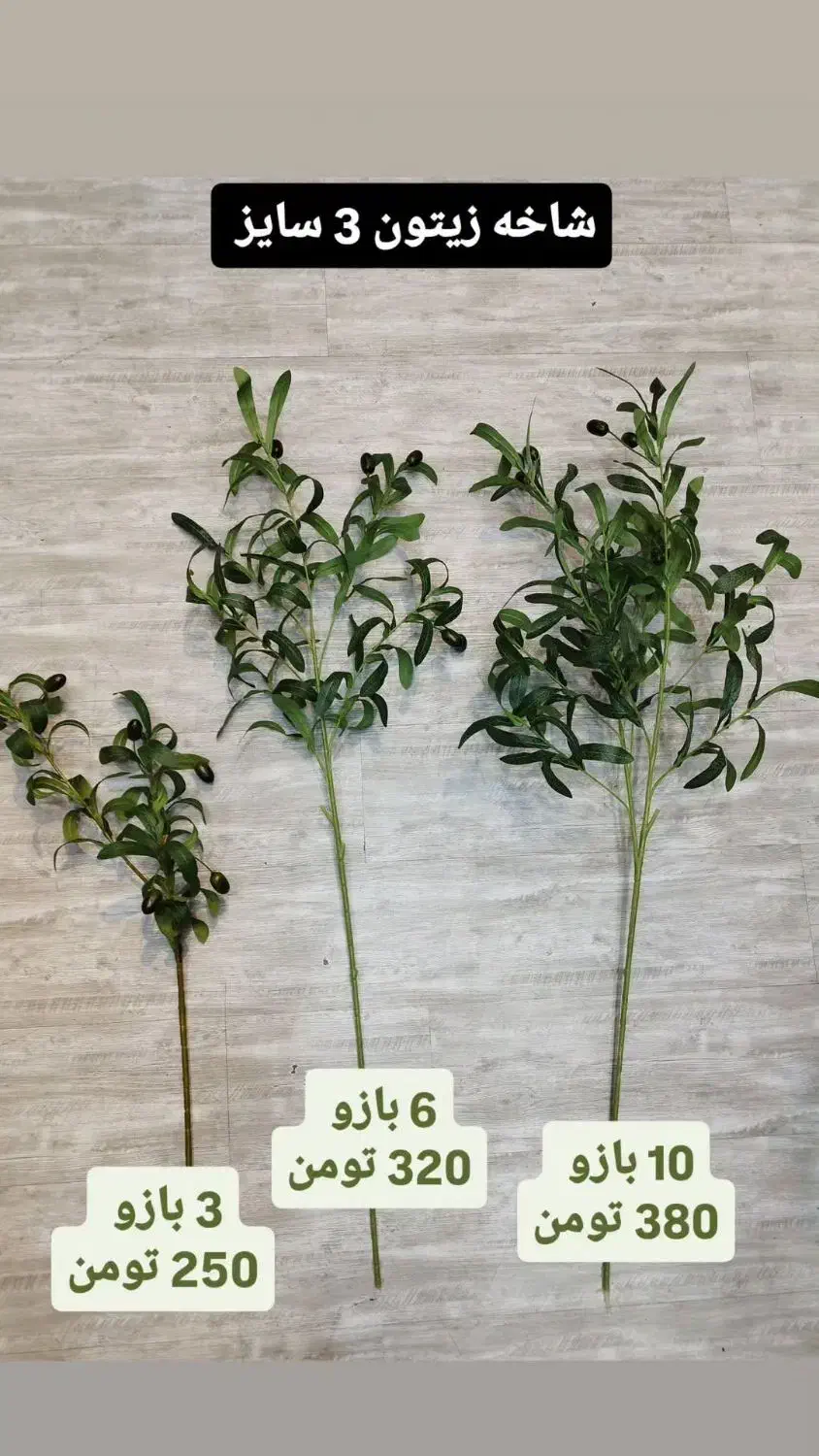 شاخه زیتون وارداتی میوه دار|گل مصنوعی|فردیس, فردیس|دیوار