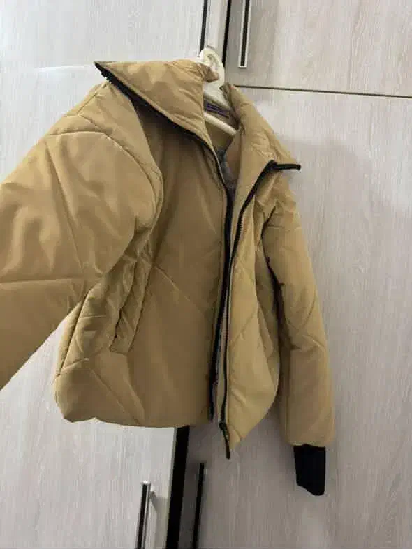 کاپشن|لباس|چناران, |دیوار