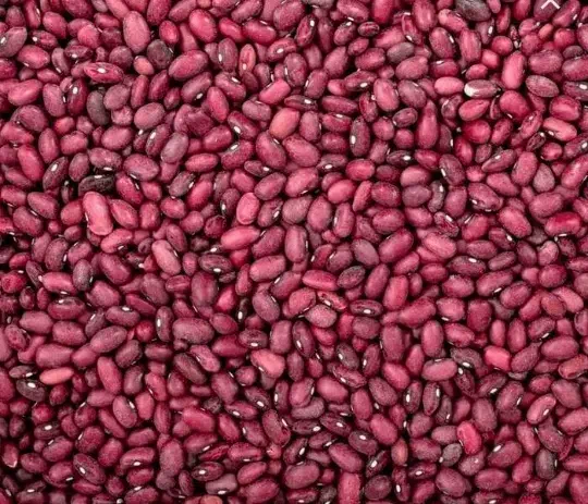 فروشی|عمده‌فروشی|فیروزآباد (لرستان), |دیوار