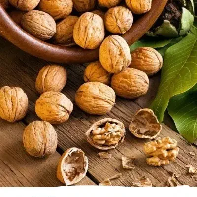 گردو محلی|خوردنی و آشامیدنی|شیراز, انجیره|دیوار