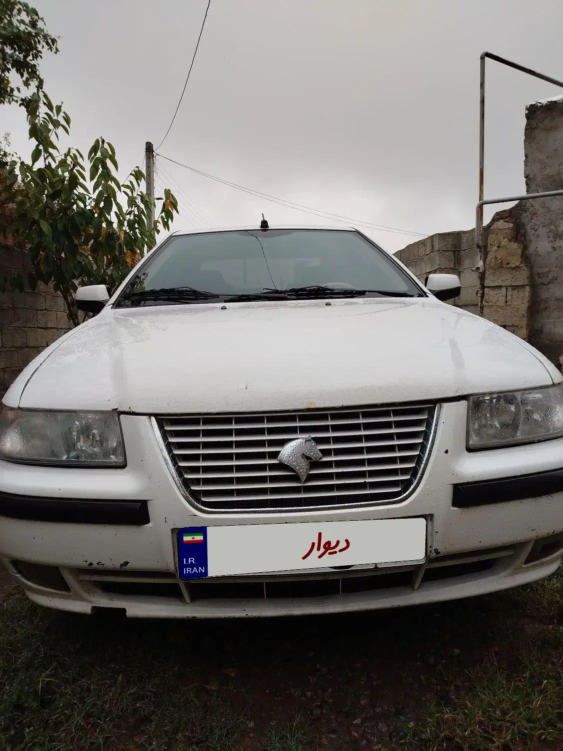 سمند|خودرو سواری و وانت|پارسآباد, |دیوار