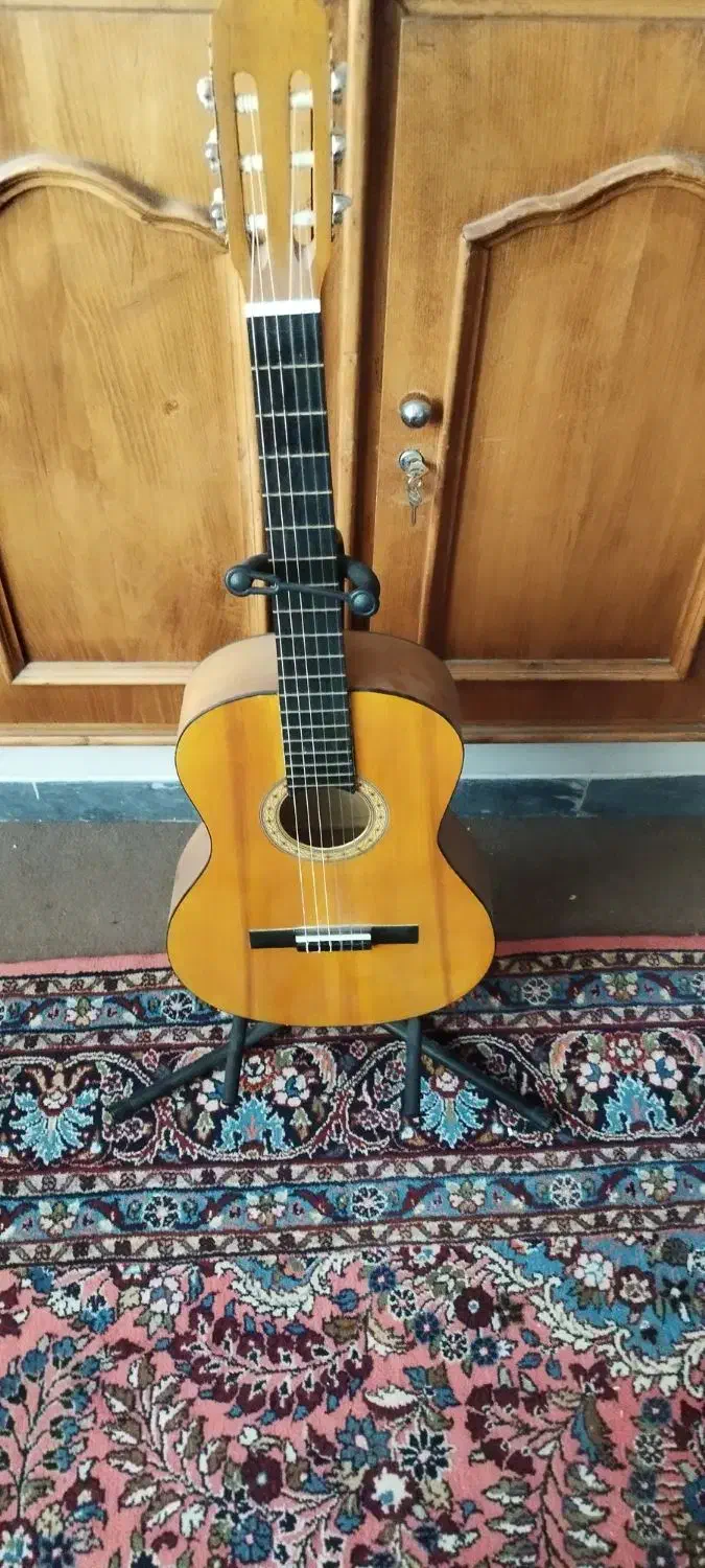 گیتار|گیتار، بیس، امپلیفایر|همدان, |دیوار