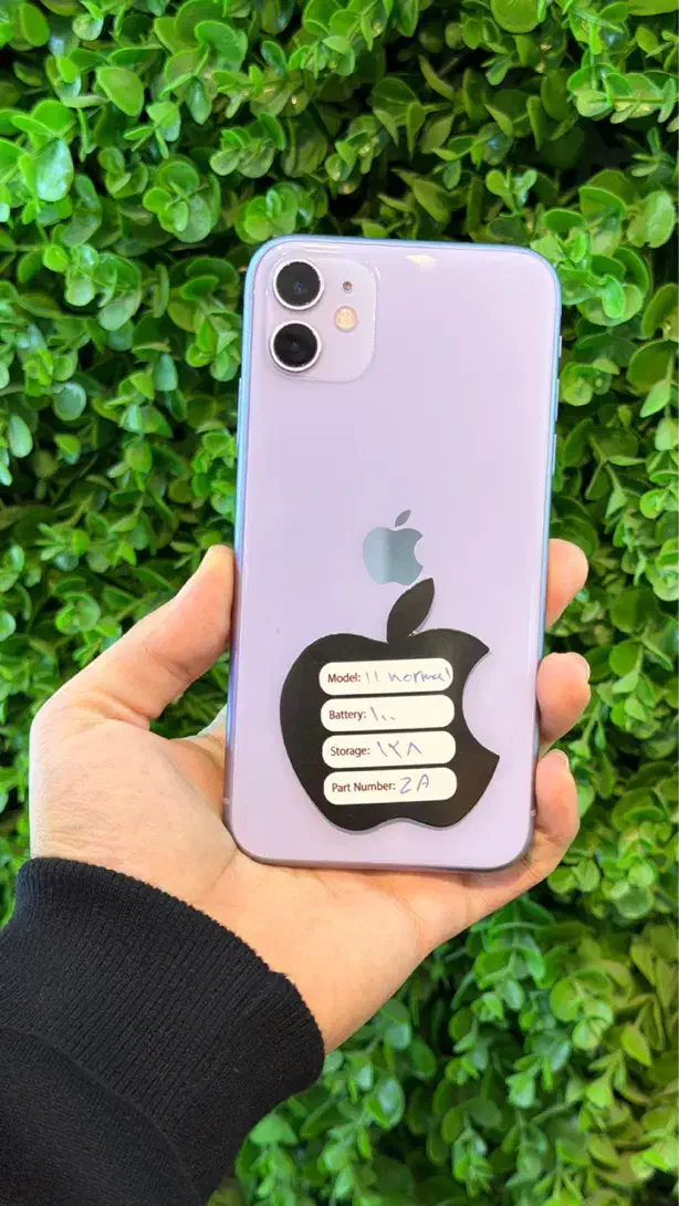 iPhone 11|موبایل|مشهد, کوثر|دیوار